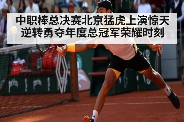 中职棒总决赛北京猛虎上演惊天逆转勇夺年度总冠军荣耀时刻